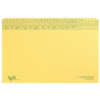 TIDY FILES Top Retrieval Medium Weight File 190gsm - Pack of 25
