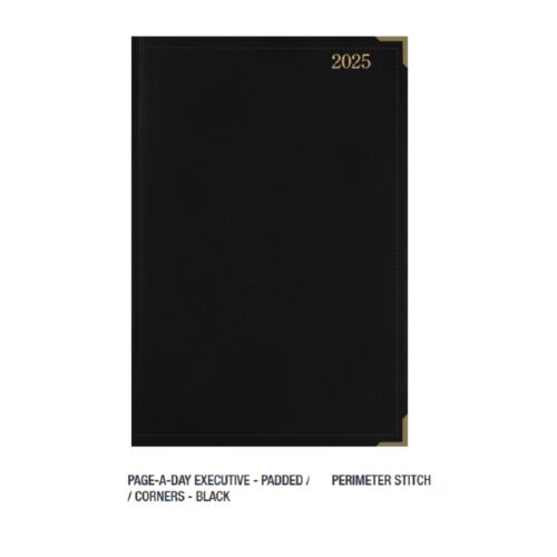 A4 Diary Page A Day Executive PS 2026 Black