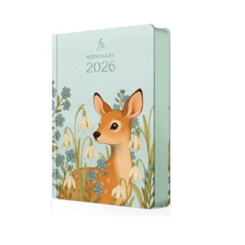 A5 Page a Day Wow Rounded Printed 2027